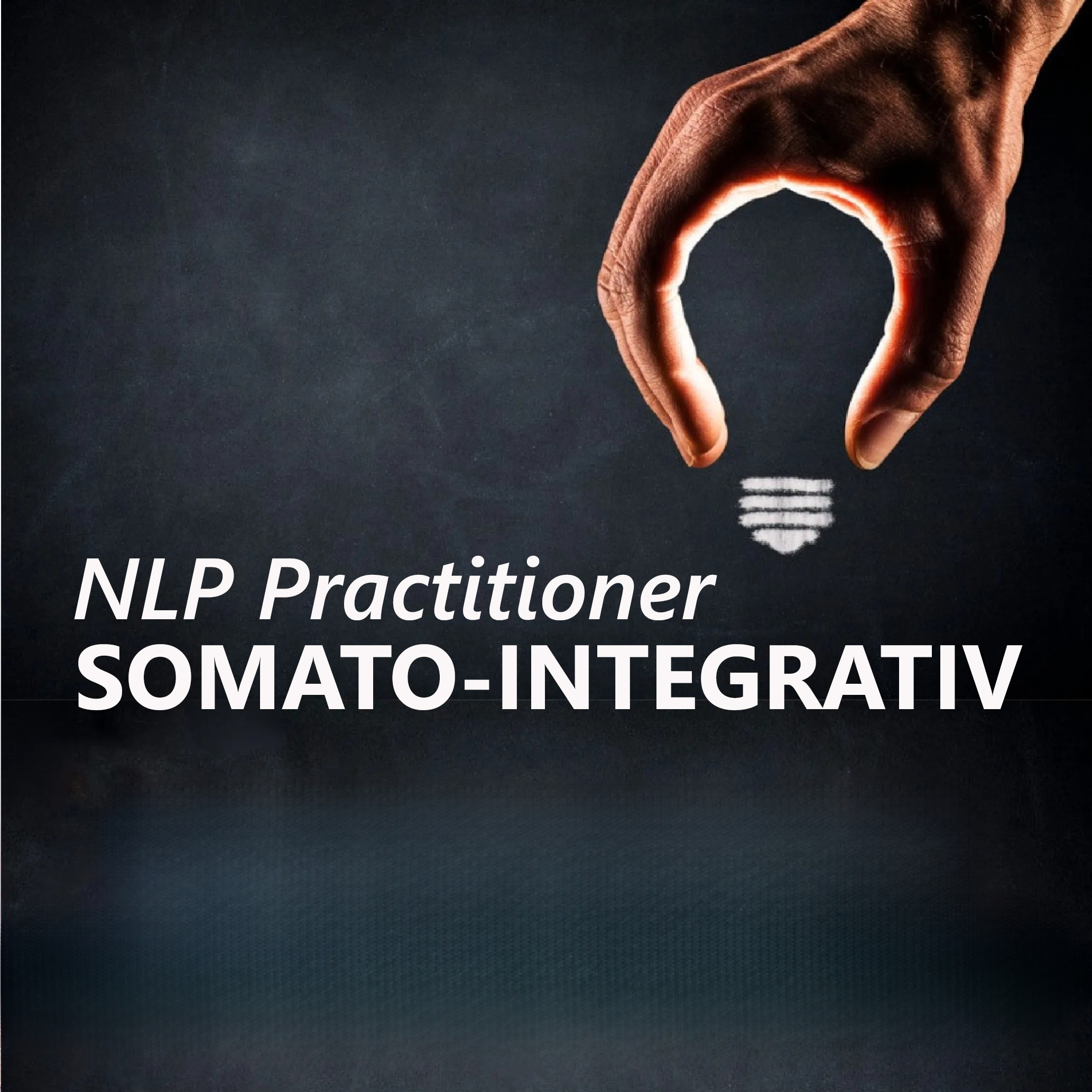 Curs de NLP Practitioner Somato-Integrativ