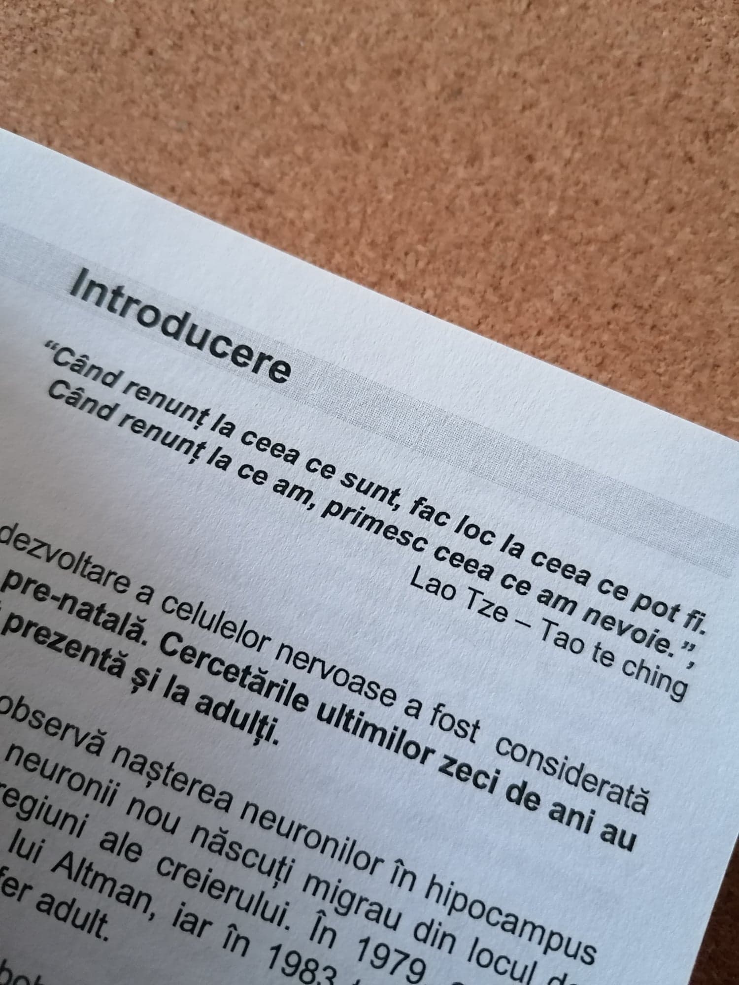 Pachet „Mesajele Corpului” - imagine 8