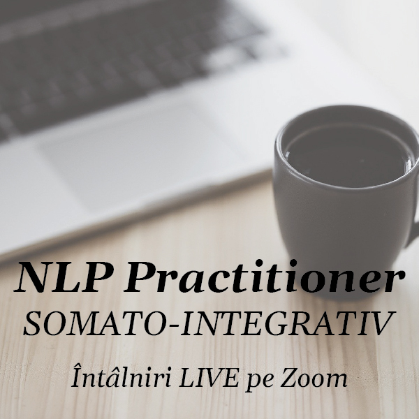 Curs de NLP Practitioner Somato-Integrativ Online